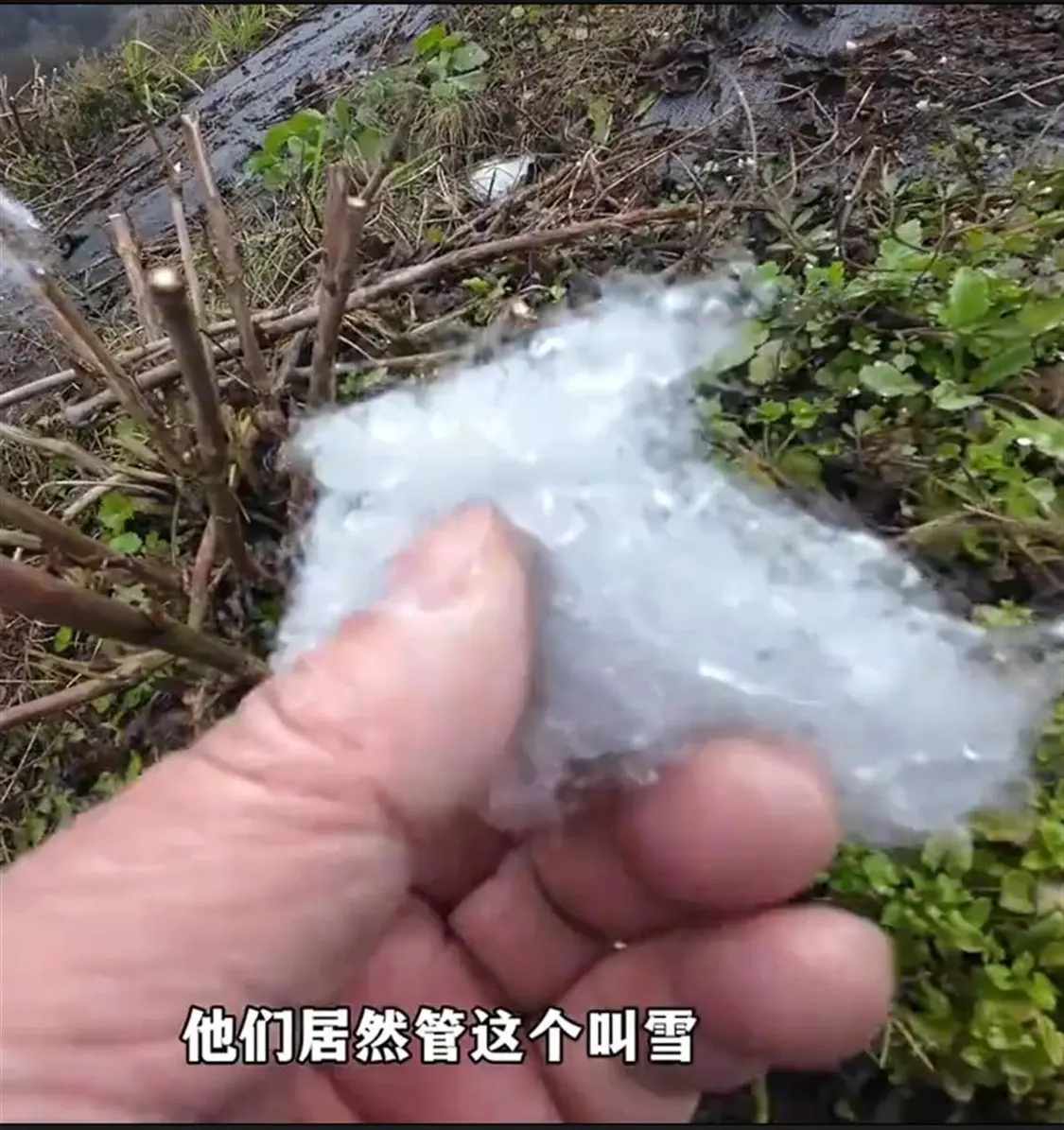 网络视频截图
