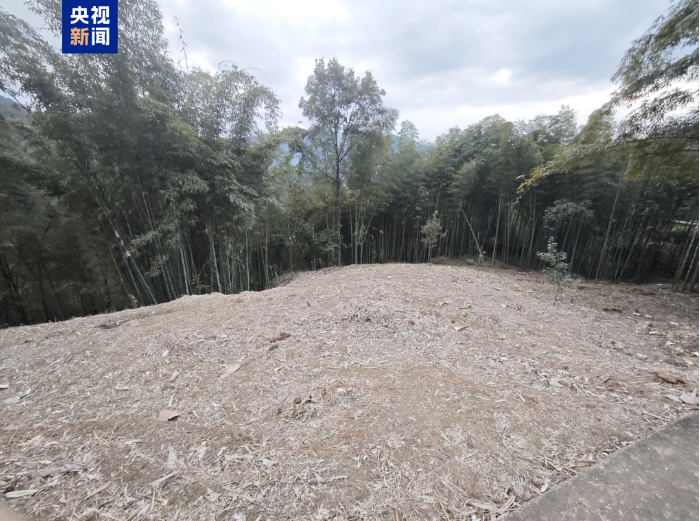 △已整改地撂荒现状